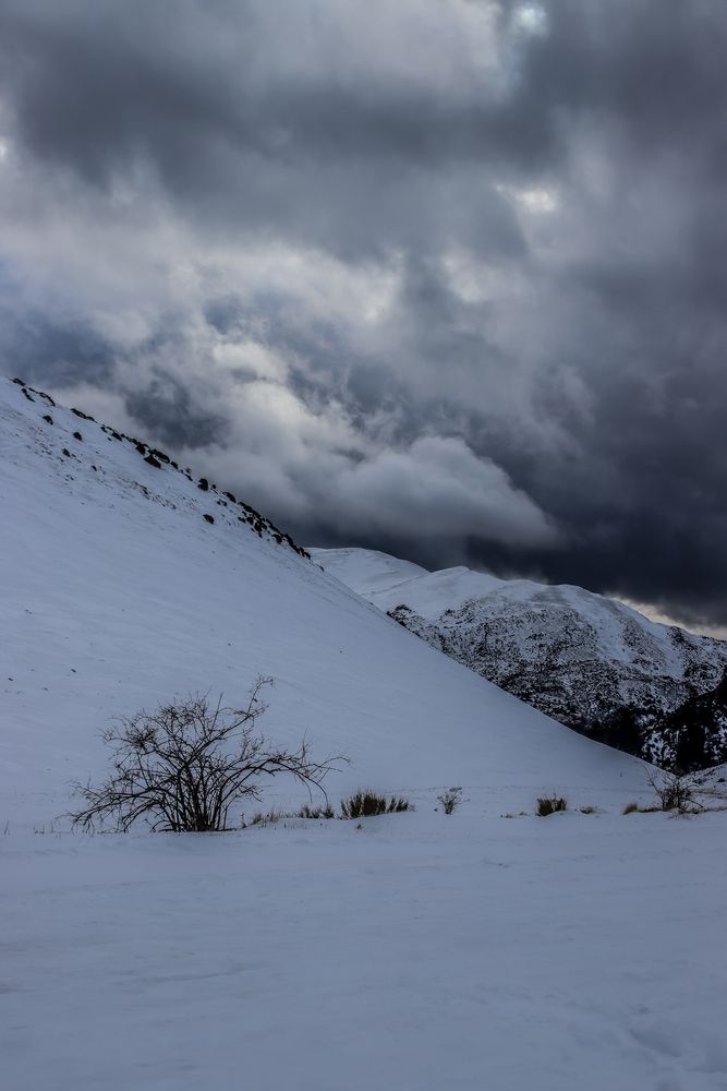 Photograph by vanessa elbin