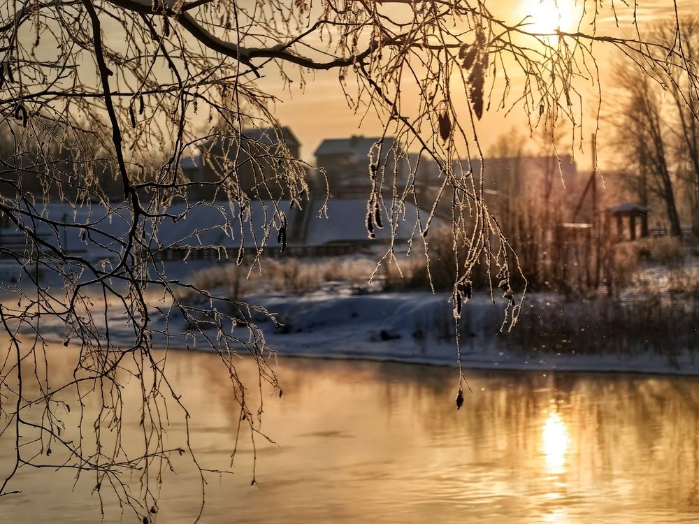 Winter sun