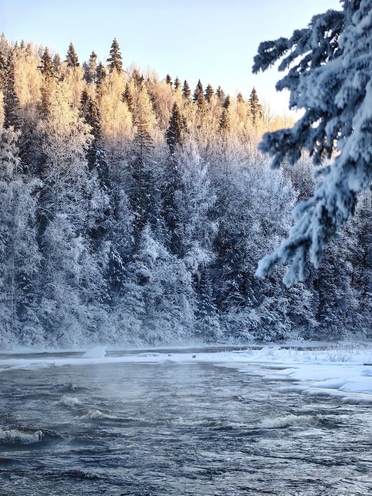 An ice-free river