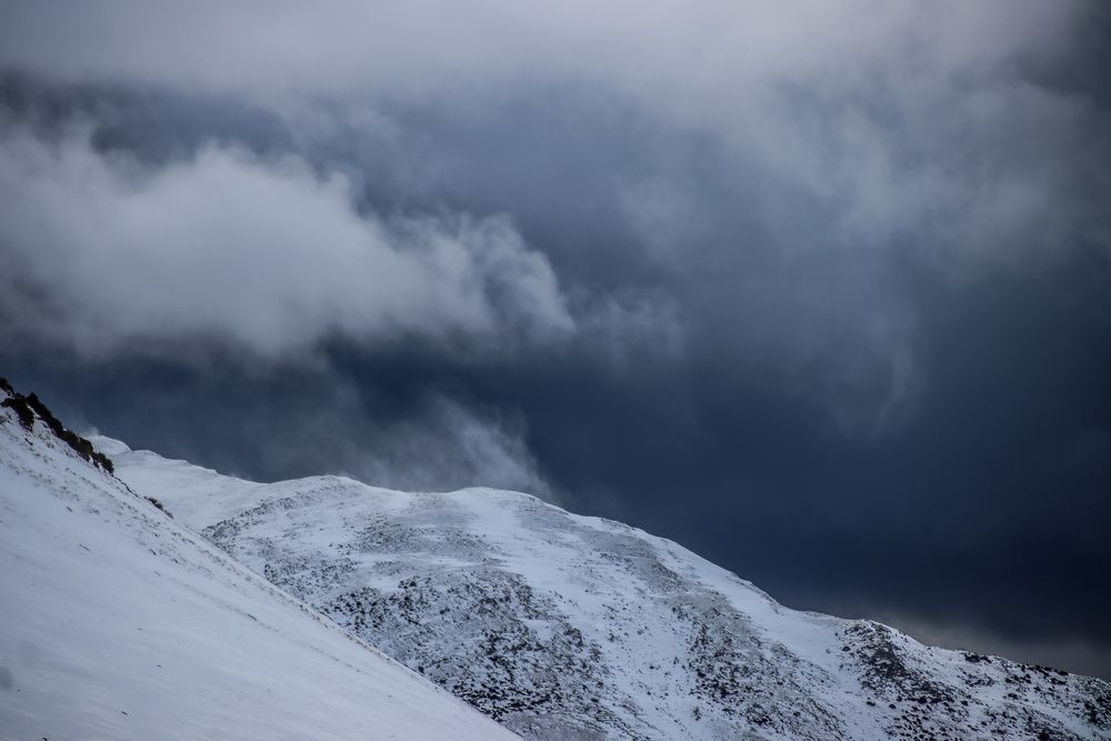 Photograph by vanessa elbin