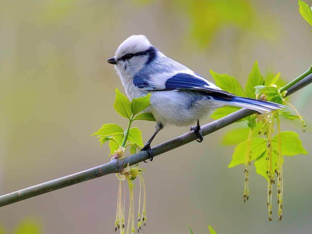 Весенний мотив