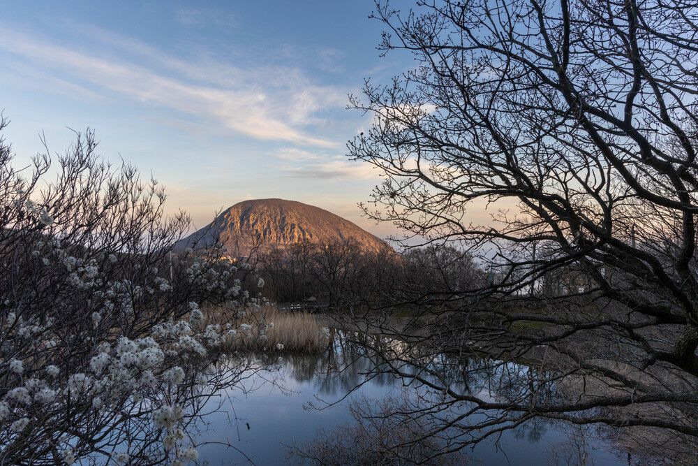 Photograph by Алексей Гильберт