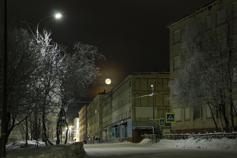 Фотография автора Светлана Терехова