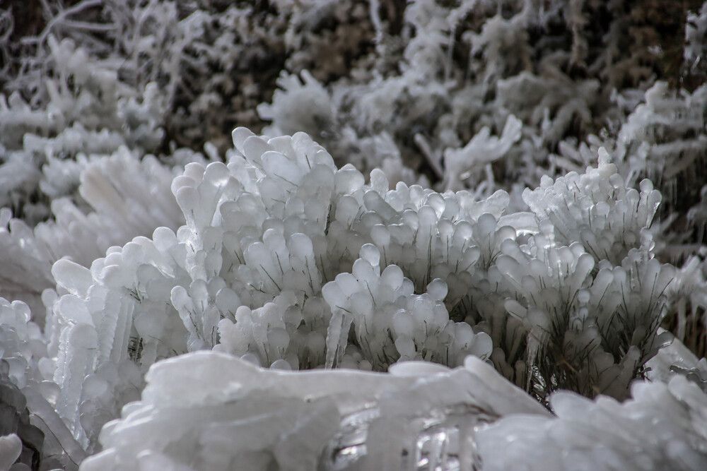 Photograph by vanessa elbin