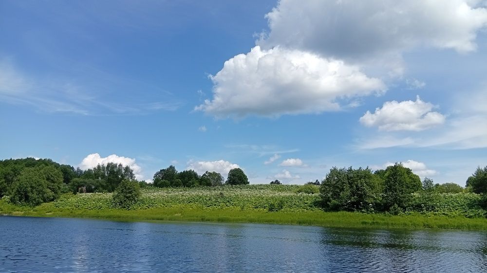 Photograph by Михаил Плотников