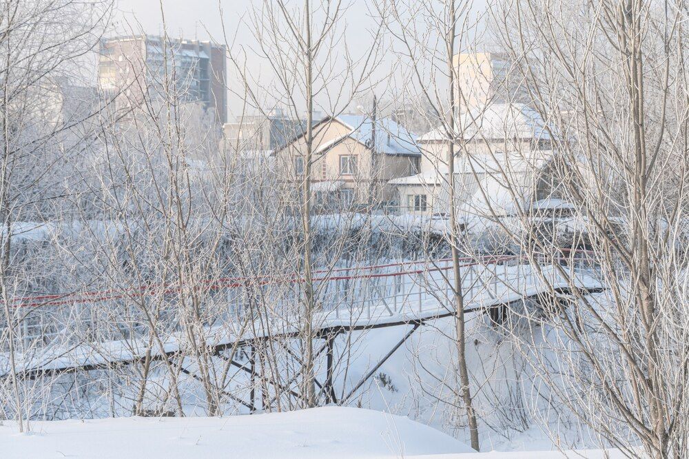 Фотография автора Максим Грибанов