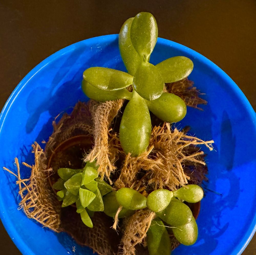 Photograph by Сергей Смирнов