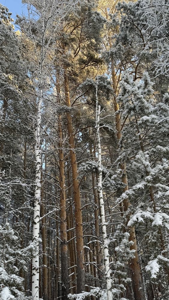 Photograph by Сергей Смирнов