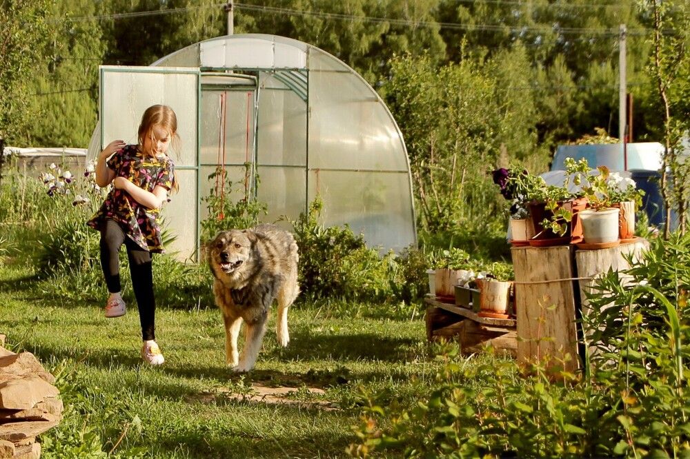 Photograph by Елена Шмырова