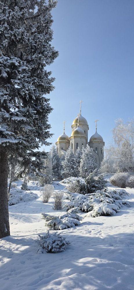 Photograph by Elena Ovsannikova