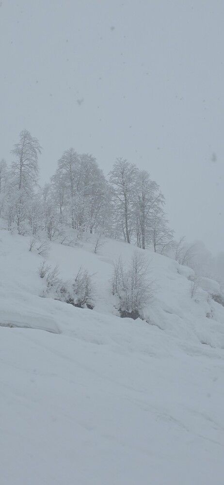 Photograph by Elena Ovsannikova