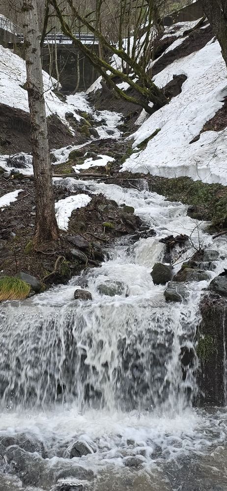 Photograph by Elena Ovsannikova