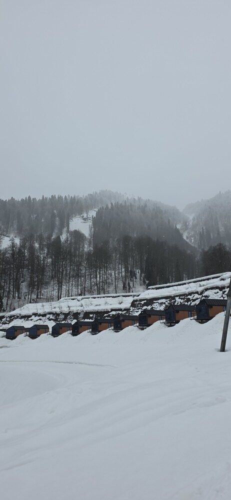 Photograph by Elena Ovsannikova