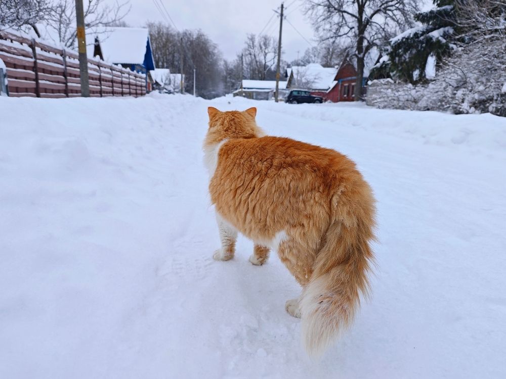 Photograph by Екатерина Щербина