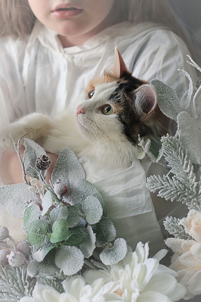 Photograph by Елена Шмырова