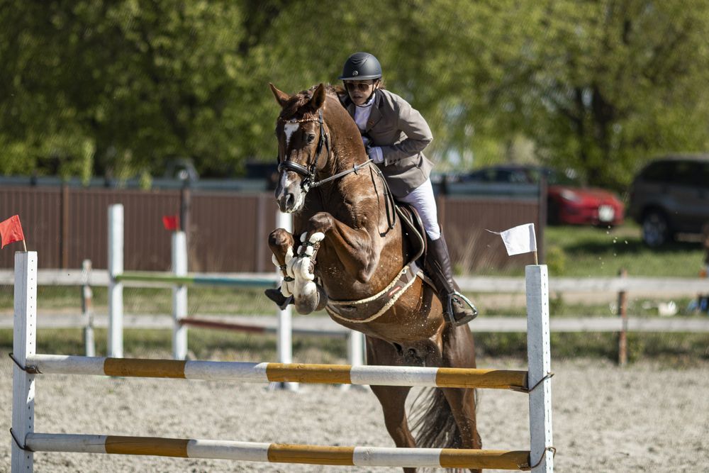 Photograph by Анастасия Лученок