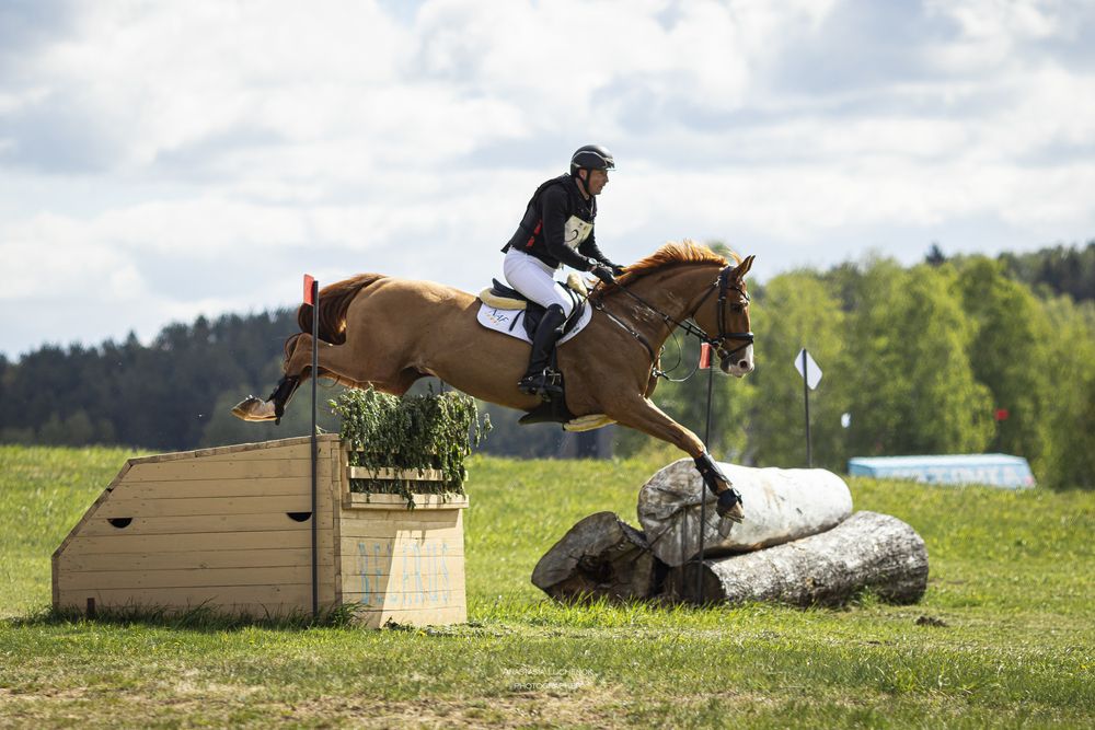 Photo #13203509