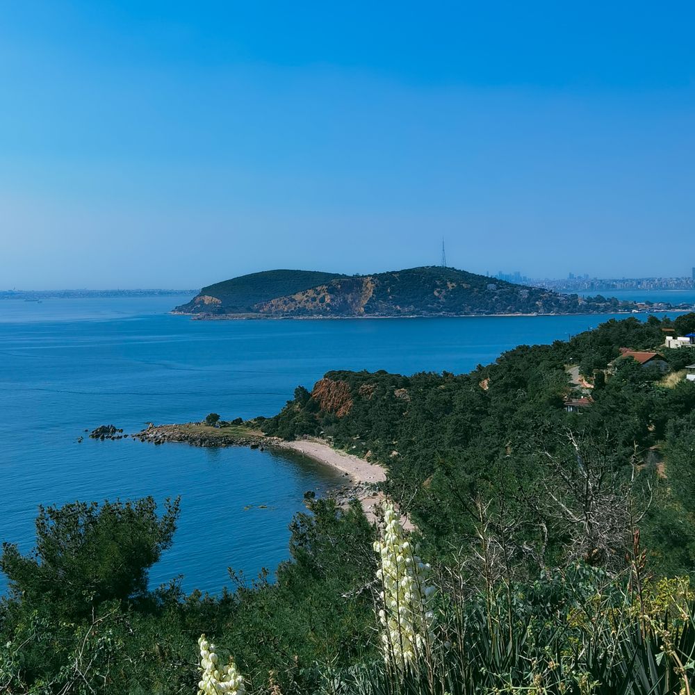 Photograph by Alexandra Mazur