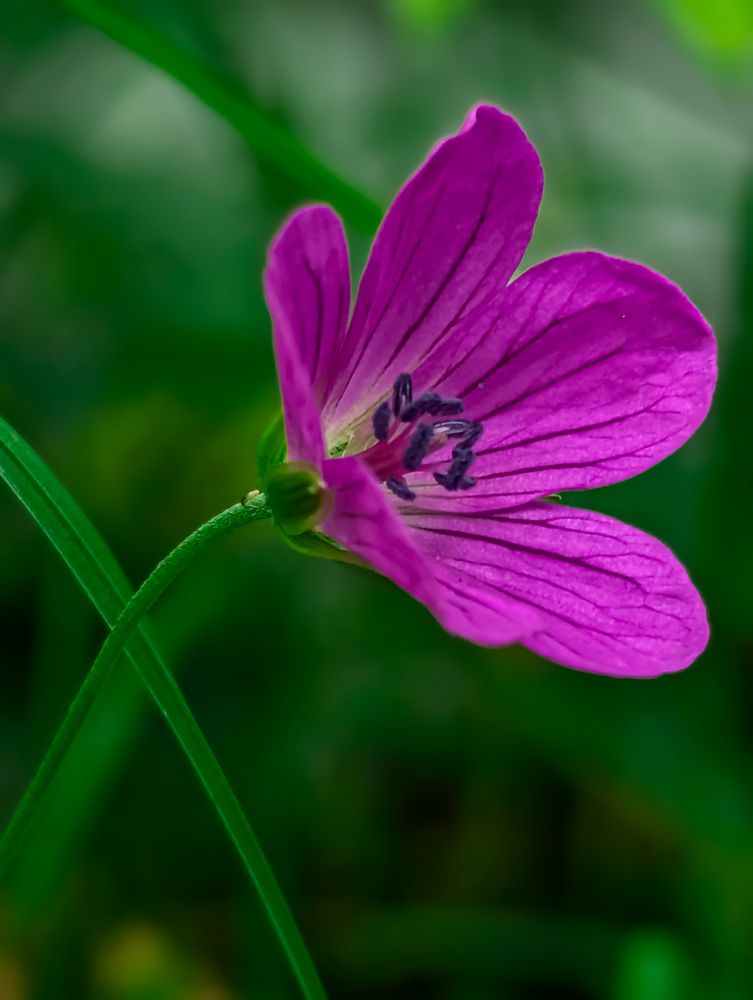 Photograph by Артур Арутюнов