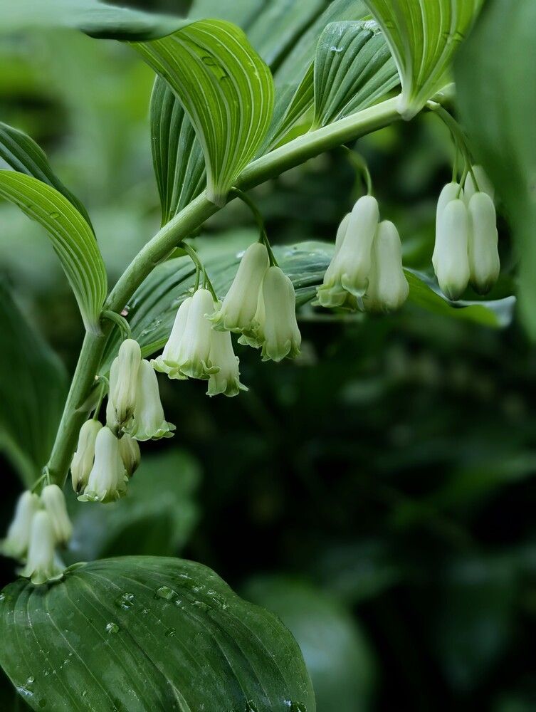 Photograph by Артур Арутюнов