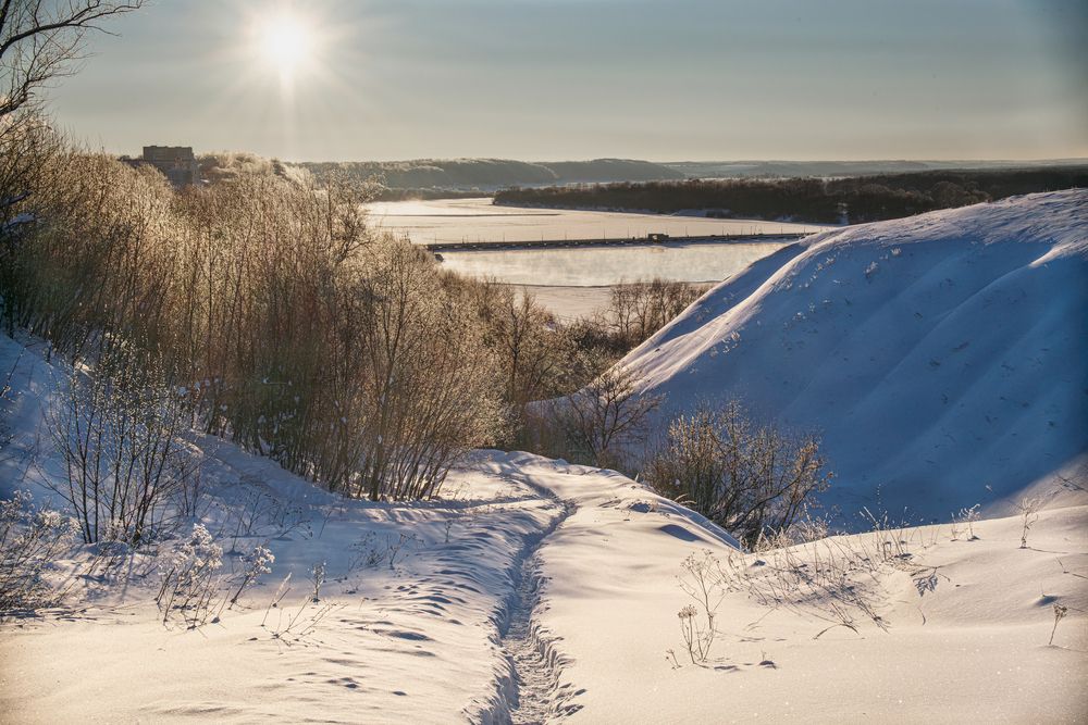 Фотография автора Николай Абакумов