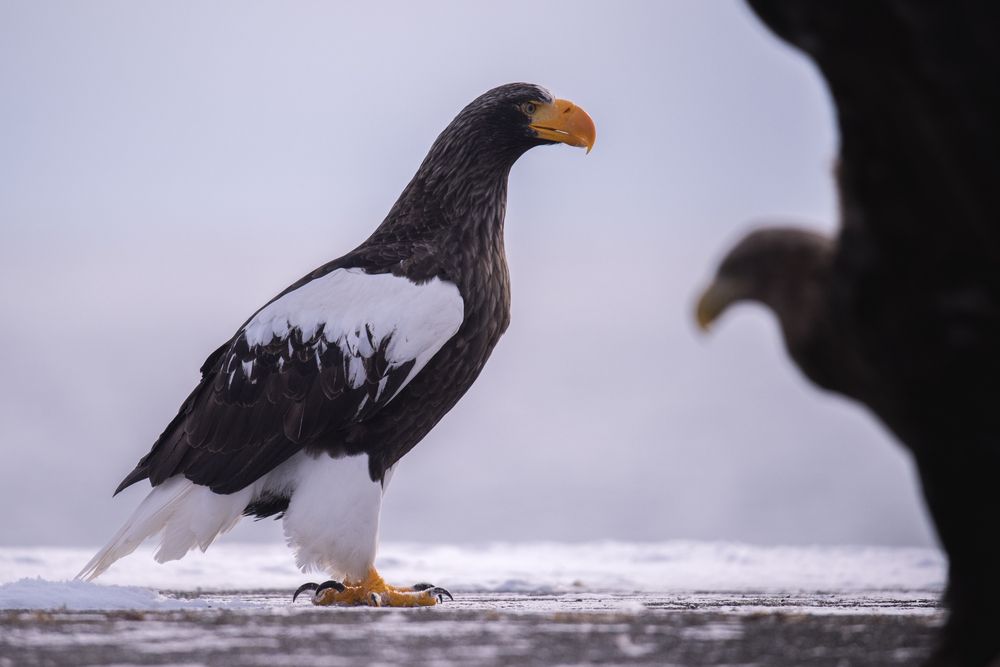 Photograph by Eduardo Fuster Salamero