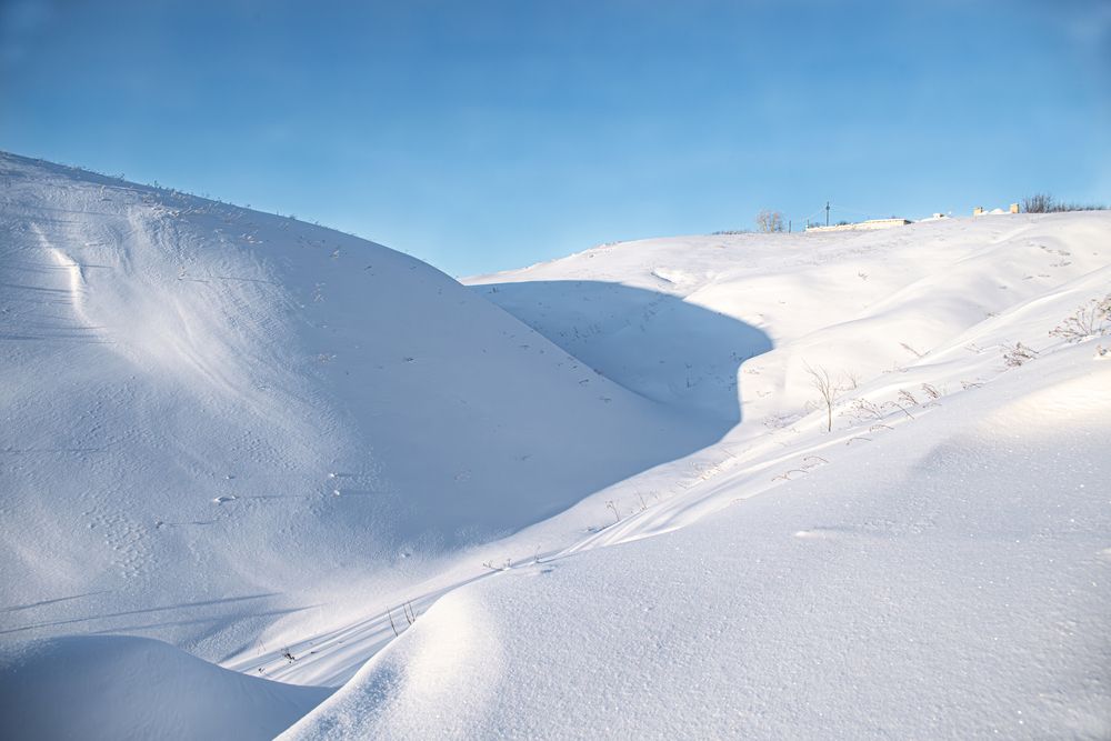 Фотография автора Николай Абакумов