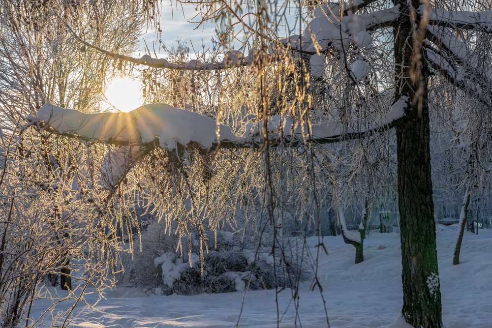 Photograph by Светлана Волкова