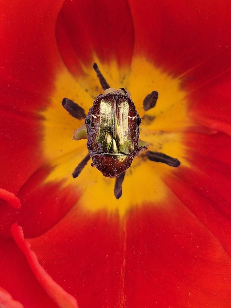 Photograph by Мария Коломиец