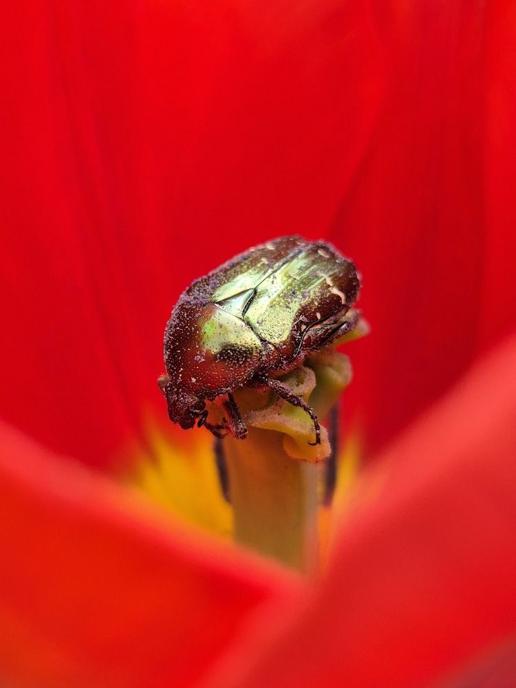 Photograph by Мария Коломиец