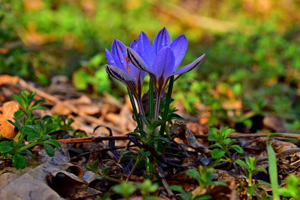 Фотография автора Александр
