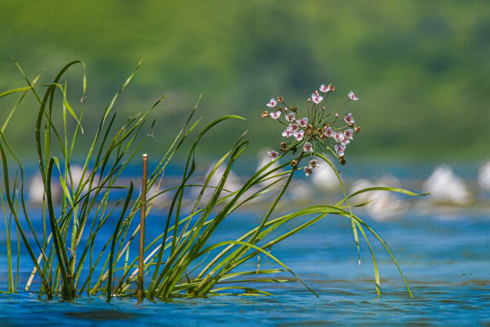 Photograph by Николай Абакумов