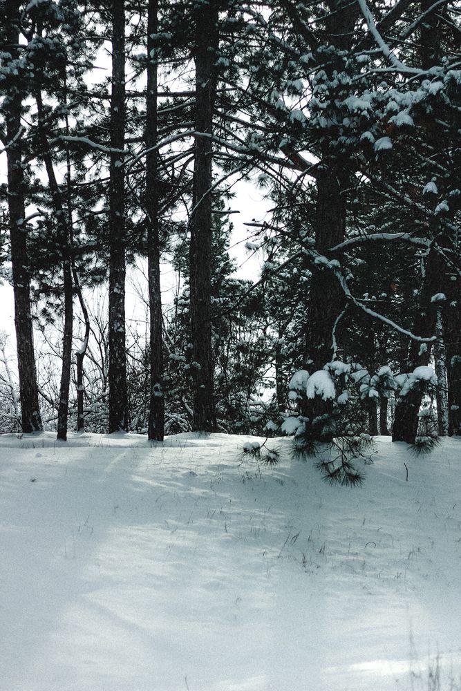 Фотография автора Наталия Столяр