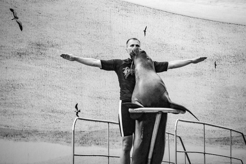 Photograph by Роман Гурененко