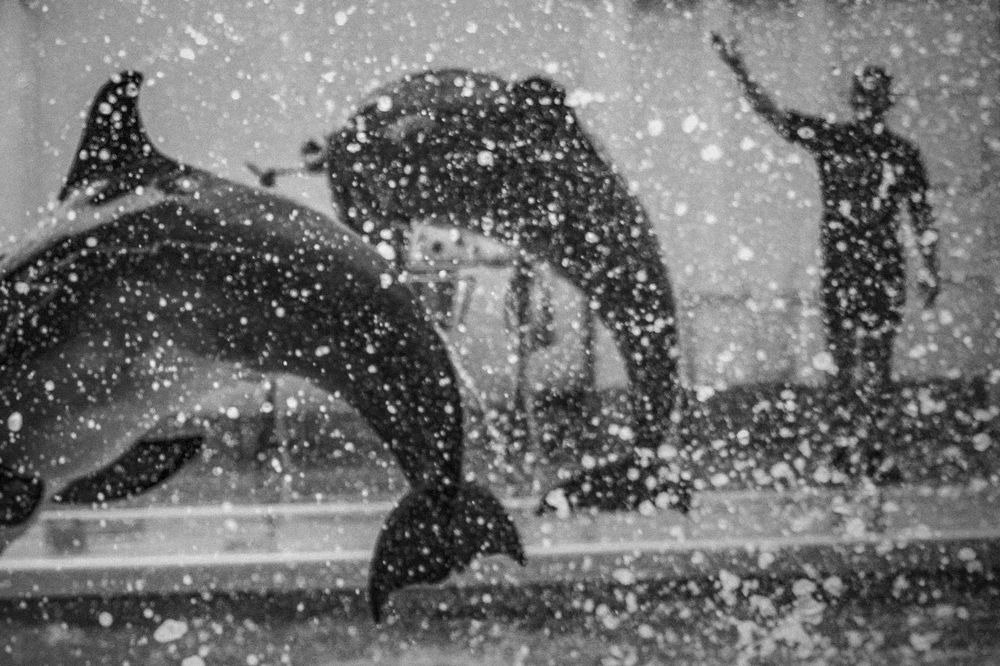 Photograph by Роман Гурененко