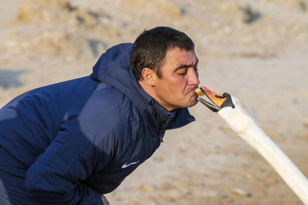 Совместная трапеза