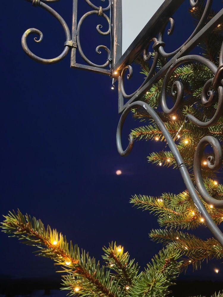 Photograph by Александра Пецевич