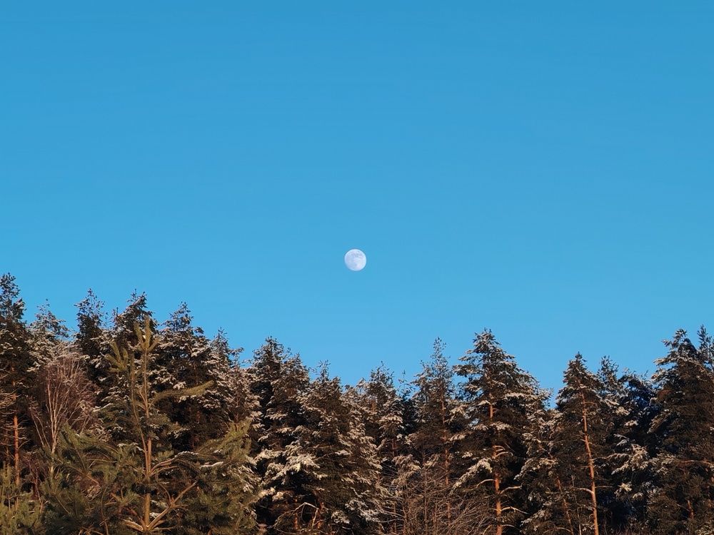 Photograph by Александра Пецевич