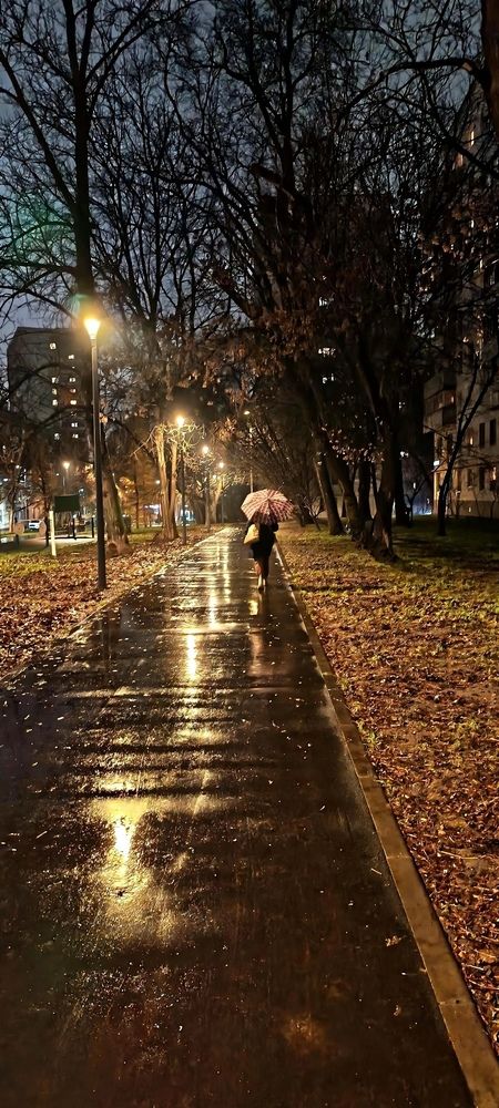 Фотография автора Олег Черкасов