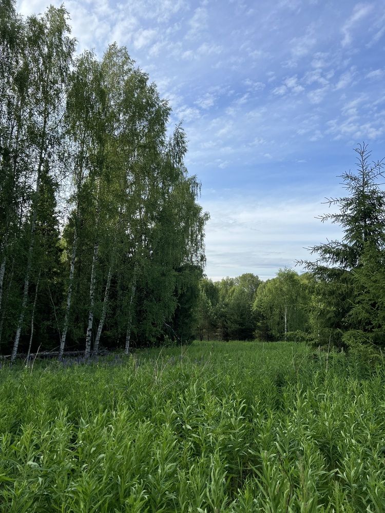 Фотография автора Полина Ишкина