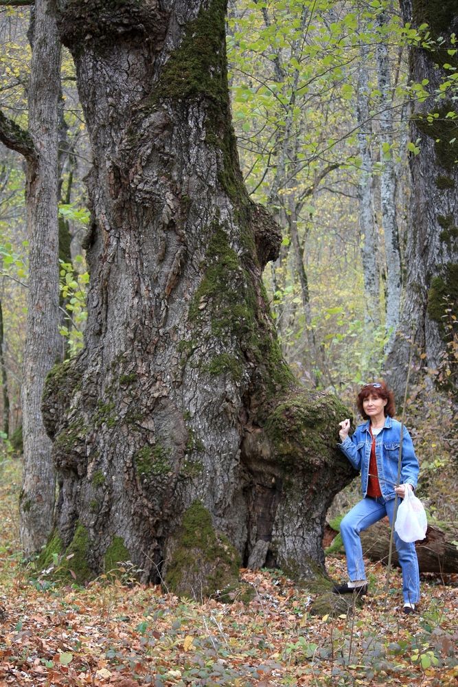 Фотография автора Сергей Христинич