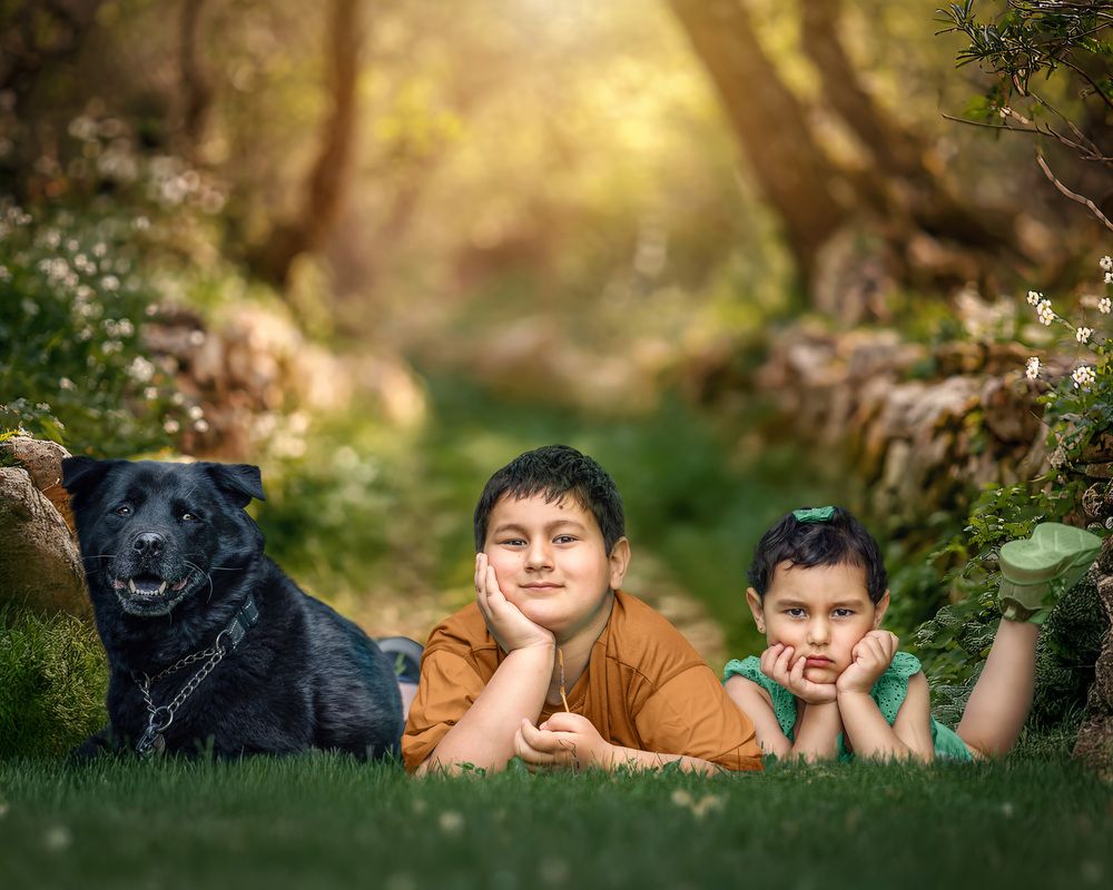 Photograph by Meilleurs Moments