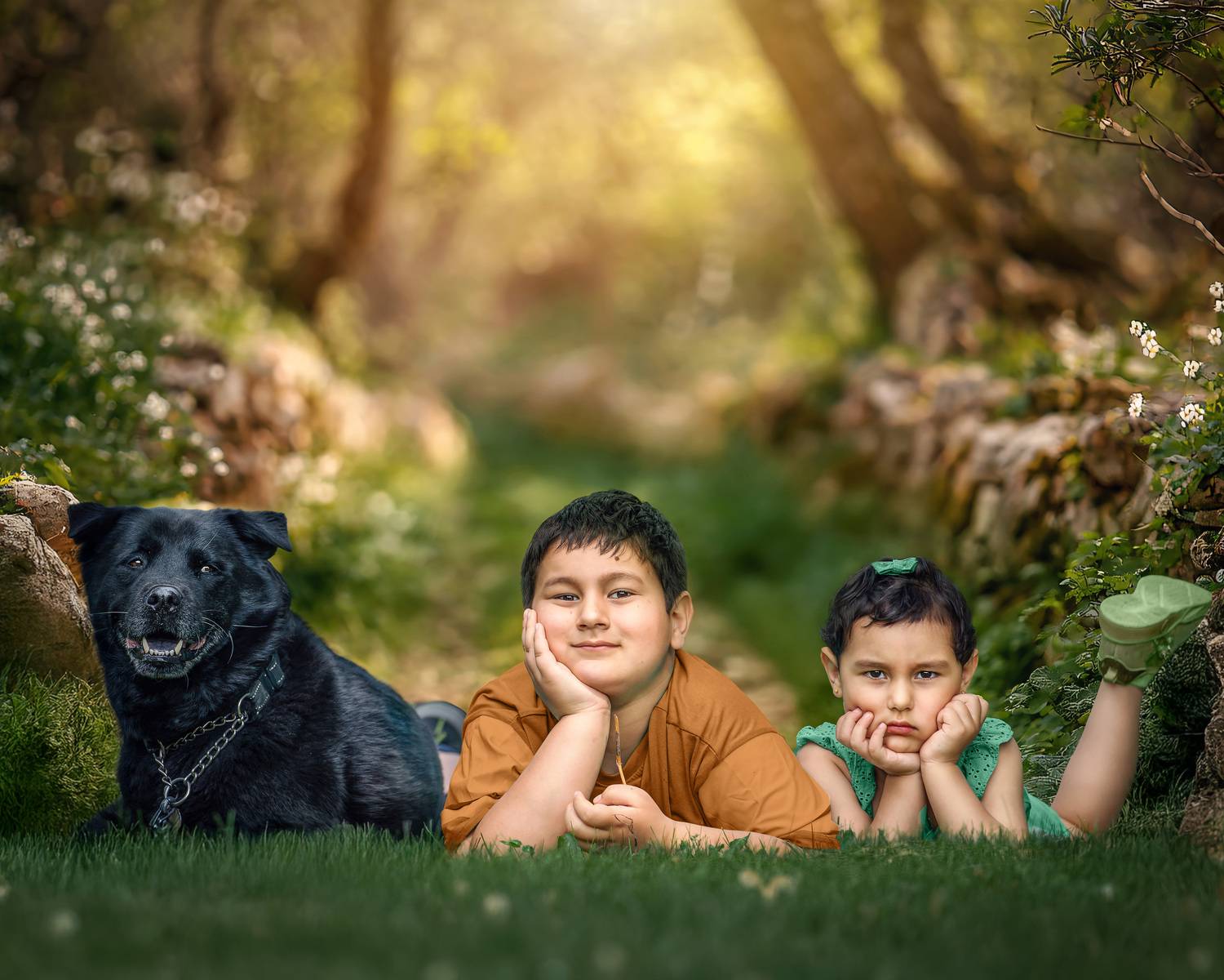 Фотография #13203837