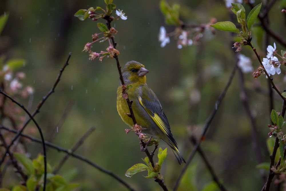 Photograph by Хабаров Сергей