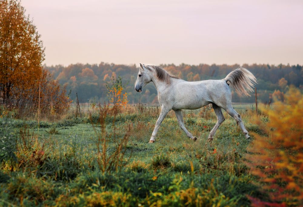 Photograph by Екатерина Лебедева