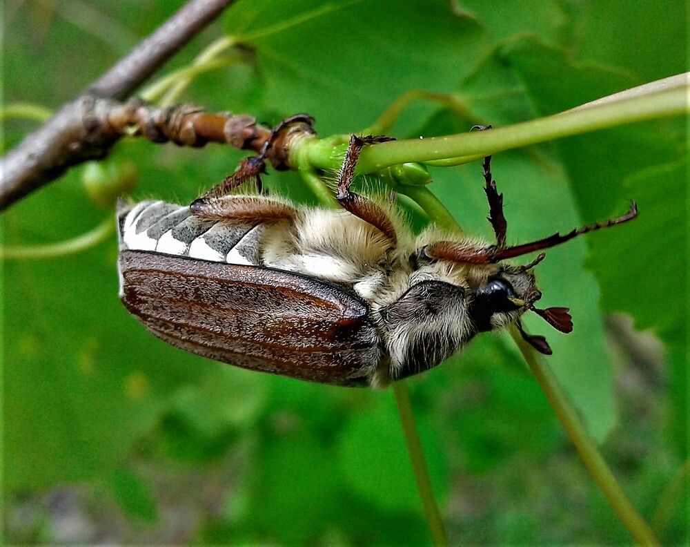 Photograph by Ольга Митрофанова