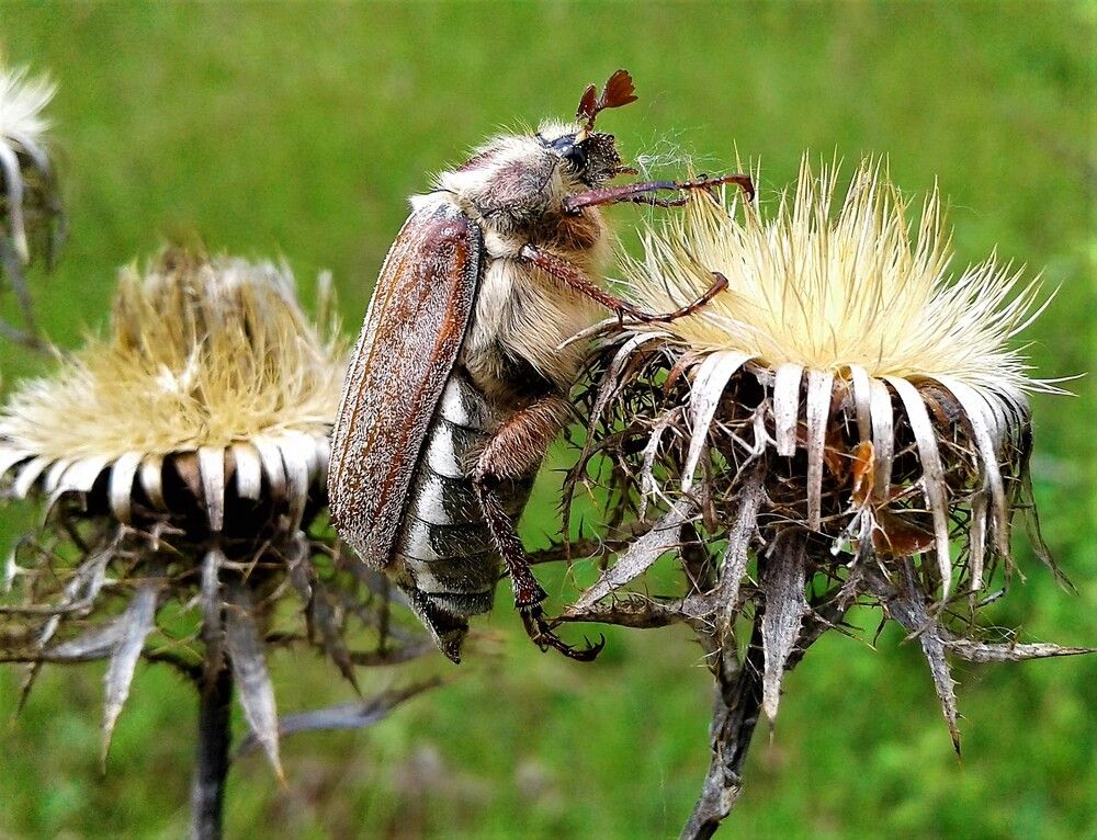 Photograph by Ольга Митрофанова