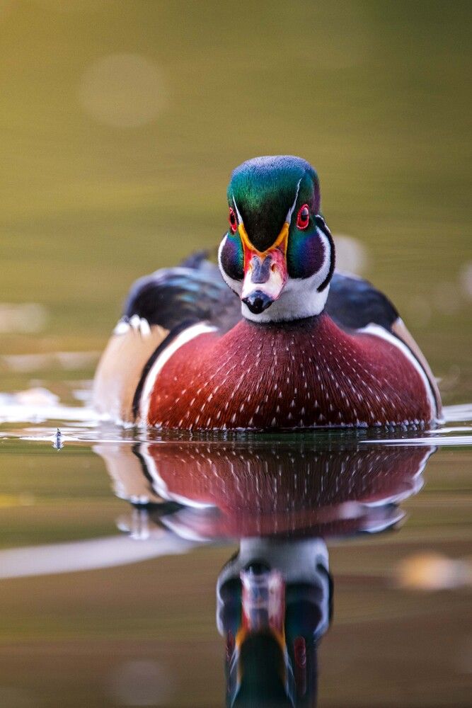 Photograph by Павел Ныриков