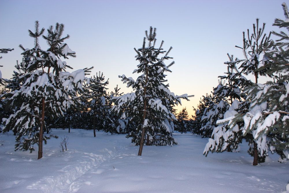 Photograph by Ольга Нистеренко