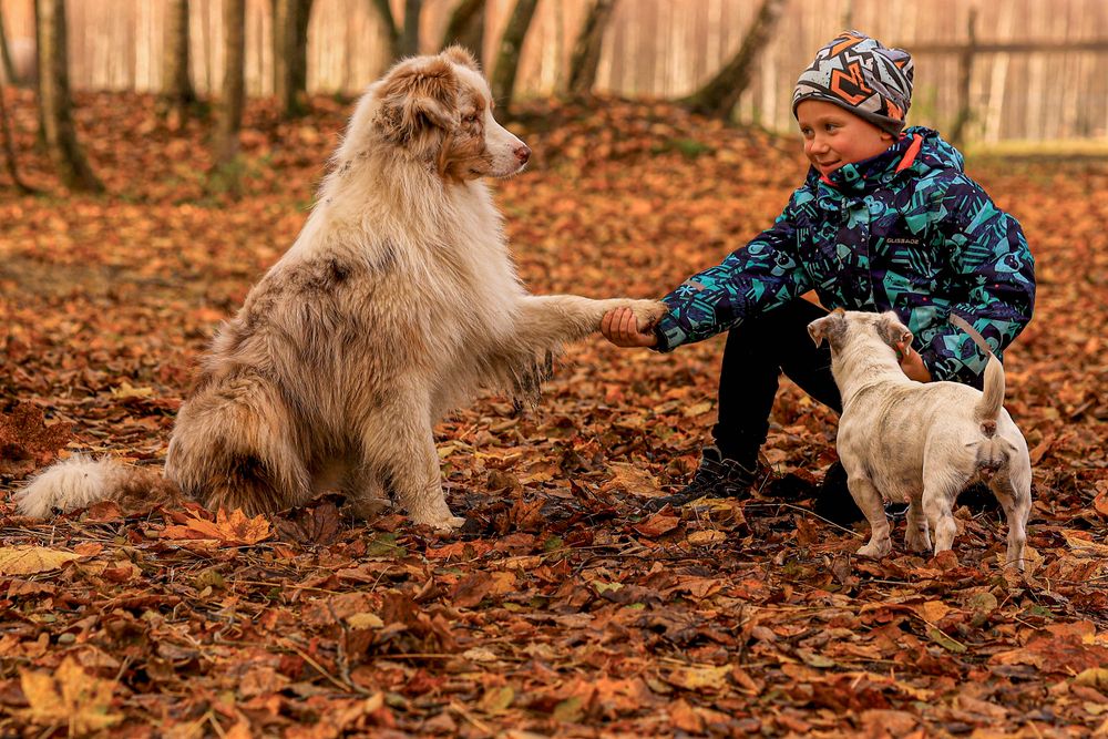 Фотография автора Руслан Мензулин